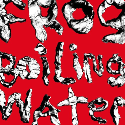 DIIV: Frog In Boiling Water - VINYL