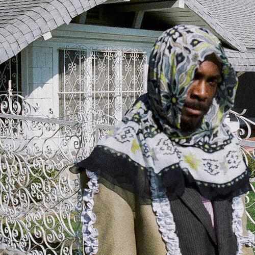 Jpegmafia- All My Heroes Are Cornballs ( LP )