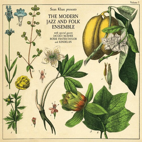 Sean Khan & The Modern Jazz & Folk Ensemble: Sean Khan Presents The Modern Jazz & Folk Ensemble - VINYL