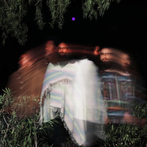Surya Botofasina: Subtle Movements - VINYL