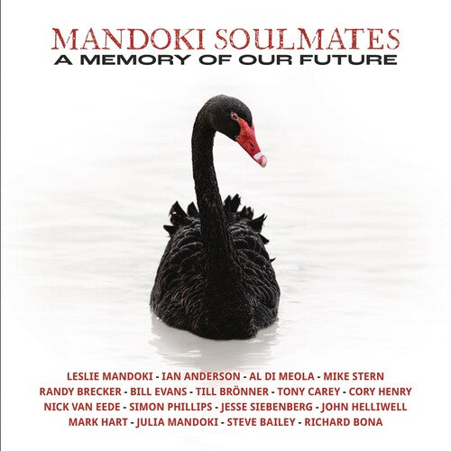 Mandoki Soulmates: Memory Of Our Future - VINYL