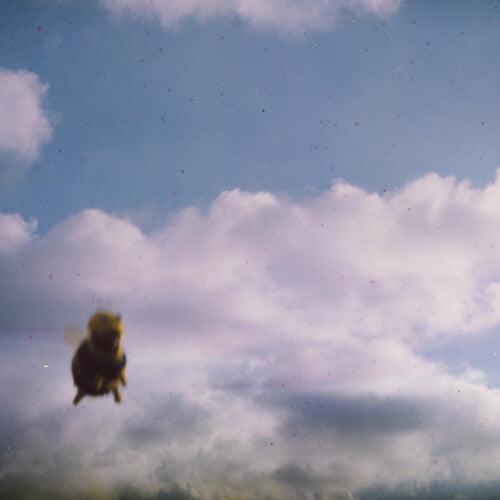 Pond- Stung! (Indie Exclusive Vinyl) ( LP )