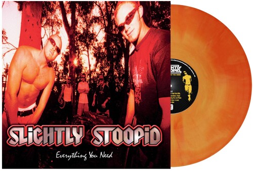 Slightly Stoopid: Everything You Need - VINYL