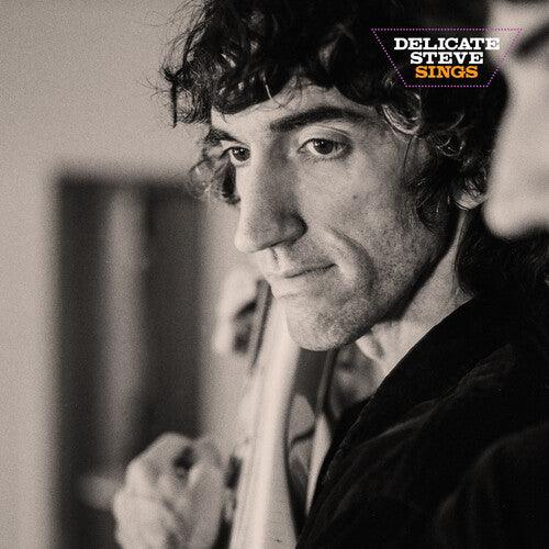 Delicate Steve- Delicate Steve Sings ( LP )