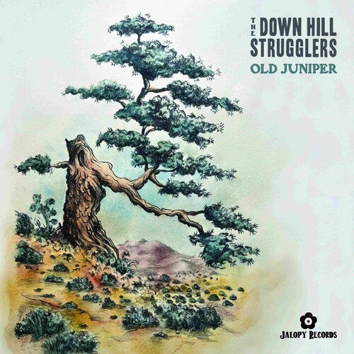The Down Hill Strugglers: Old Juniper { Record }