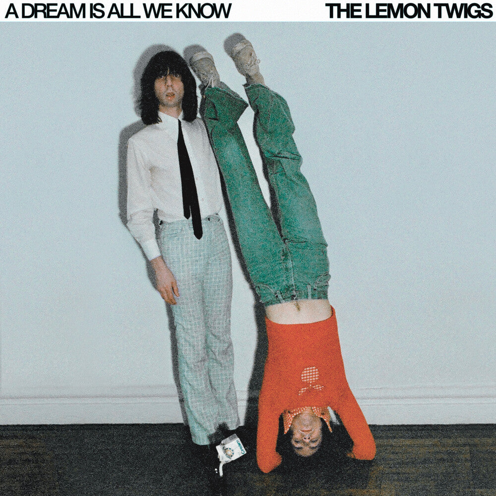 Lemon Twigs- Dream Is All We Know ( LP )