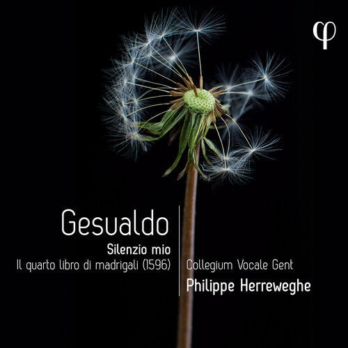Melodie Ruvio: Gesualdo: Silenzio mio - Il quarto libro di madrigali - COMPACT DISCS