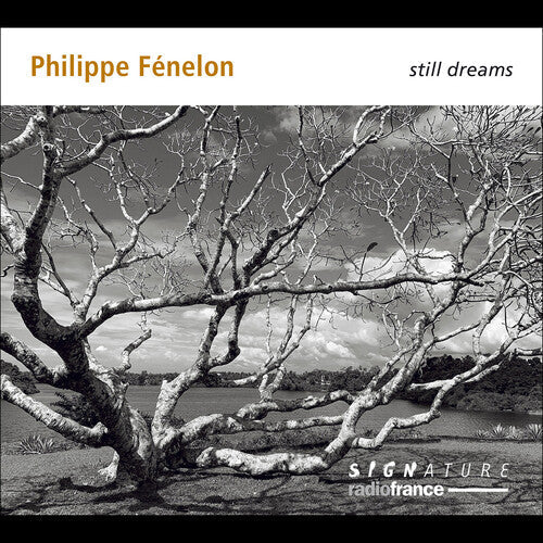 Gilles Ranticelli: Fenelon: Still Dreams - COMPACT DISCS