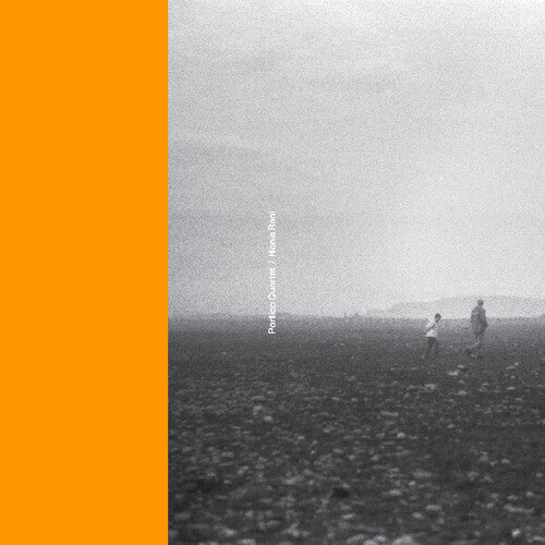 Portico Quartet: Portico Quartet / Hania Rani - VINYL