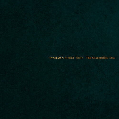 Tyshawn Sorey Trio: The Susceptible Now - VINYL