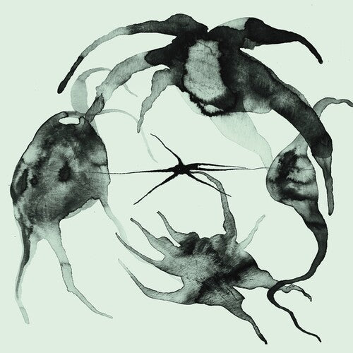 Kassel Jaeger: A Rift In the Horizon's Wall { Record }