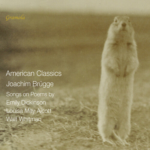 Veronika Loy: Brugge: American Classics - Songs on Poems by Emily Dickinson, Louisa May Alcott & Walt Whitman - COMPACT DISCS