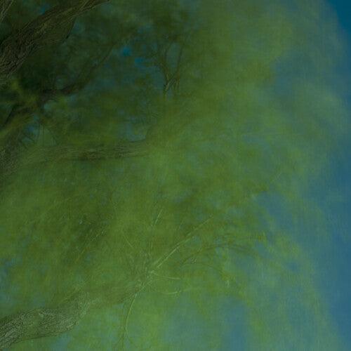 Hiroshi Ebina- Into The Darkness Of The Night ( LP )