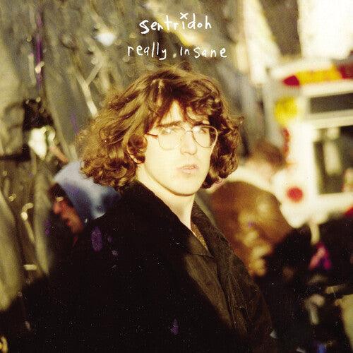 Sentridoh- Really Insane : A Lou Barlow Compendium ( LP )