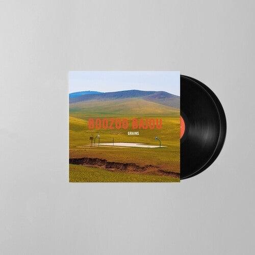 Grains (15th Anniversary) ( LP )