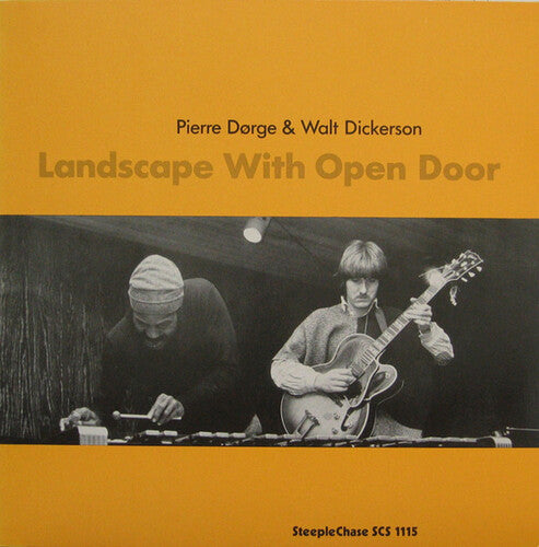 New Jungle Orchestra: Landscape With Open Door - VINYL