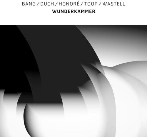 Bang / Duch / Honoré / Toop / Wastell: Wunderkammer { Record }