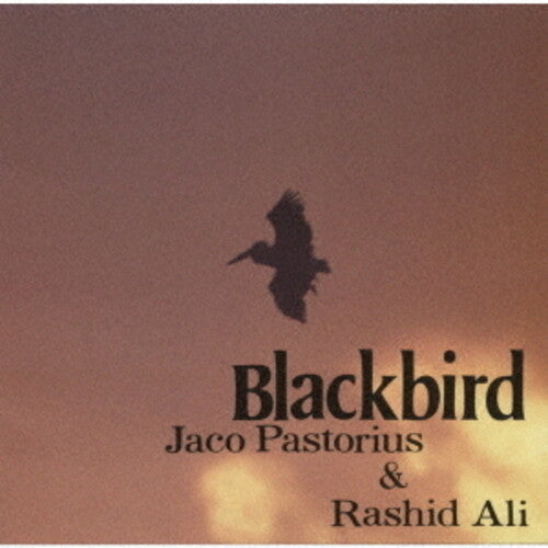 Jaco Pastorius: Blackbirds - CD