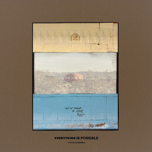 Peace Flag Ensemble- Everything Is Possible ( LP )