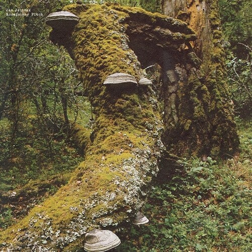 Jan Jelinek- Kosmischer Pitch ( LP )