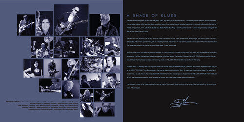 Dave Mason- A Shade of Blues - Blue ( LP )