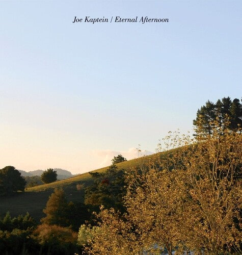 Joe Kaptein- Eternal Afternoons ( LP )