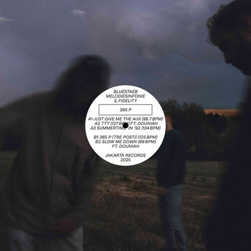 Bluestaeb: 365 P { Record }