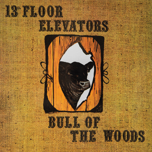 The 13th Floor Elevators: Bull Of The Woods - CD