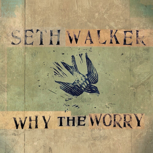 Seth Walker: Why The Worry { Record }