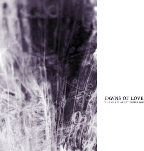 Fawns of Love- Who Cares About Tomorrow ( LP )