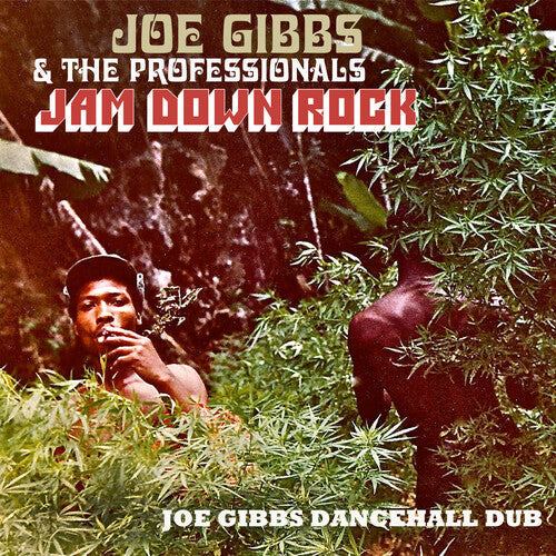 Joe Gibbs & the Professionals: Jam Down Rock: Joe Gibbs Dancehall Dub - CD