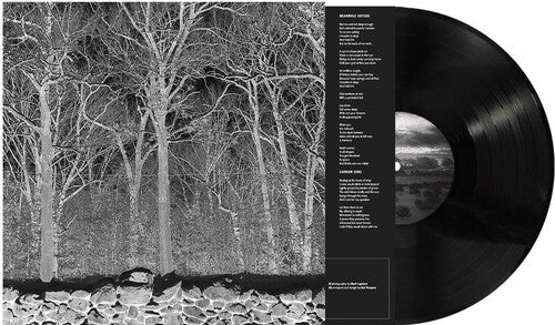 Pile- Sunshine and Balance Beams ( LP )
