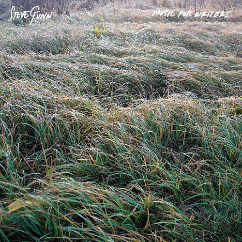 Steve Gunn- Music For Writers ( LP )