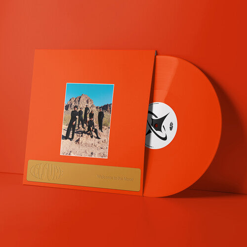 Leisure- Welcome to the Mood ( LP )