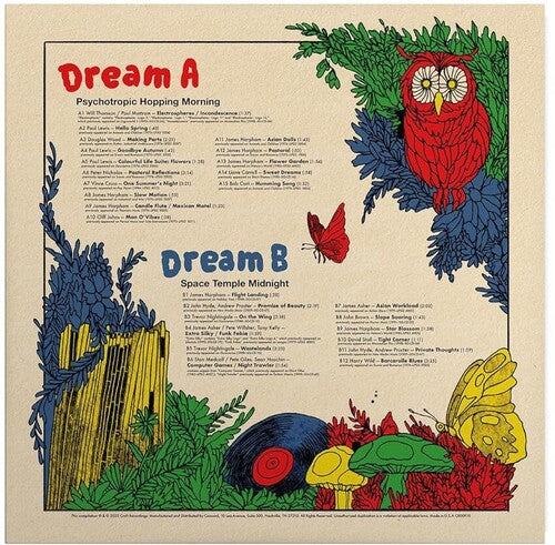 Various- Jazz Dispensary Presents: Dream a Dream with Studio G ( LP )