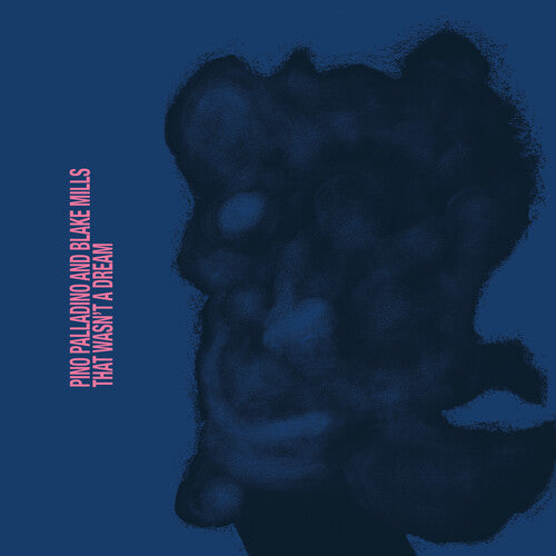 Pino Palladino- That Wasn't A Dream ( LP )