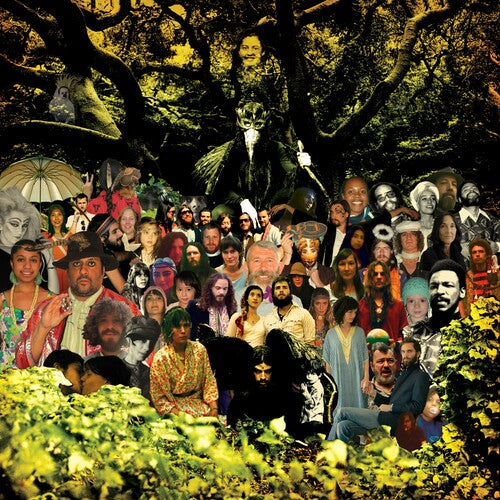 Devendra Banhart- Cripple Crow (20th Anniversary Deluxe) - Black/Green ( LP )