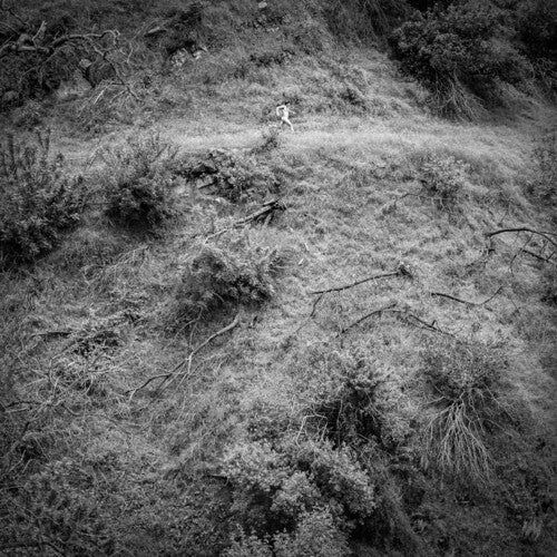 Anna Tivel: Animal Poem { Record }