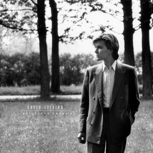 David Sylvian- Brilliant Trees - Olive Opaque Black ( LP )