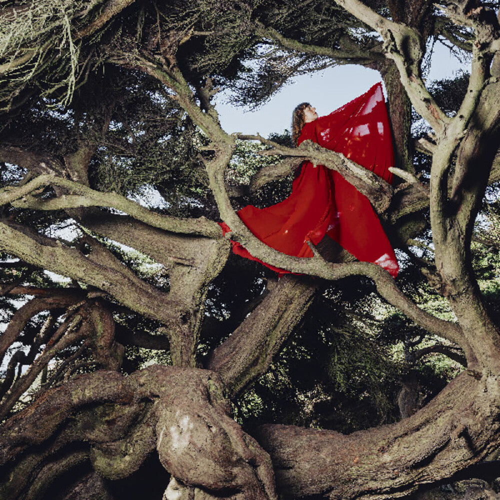 Hannah Frances- Nested In Tangles [Colored Vinyl] (Red) ( LP )