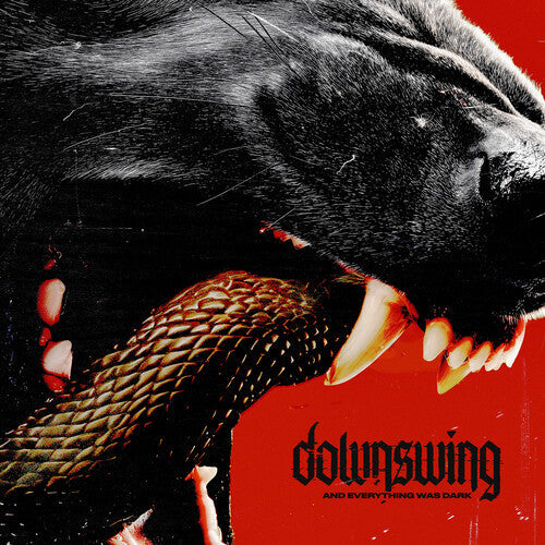 Downswing- And Everything Was Dark ( LP )