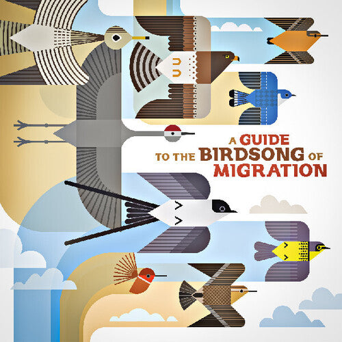 Various Artists: A Guide to the Birdsong of Migration (Various Artists) { Record }