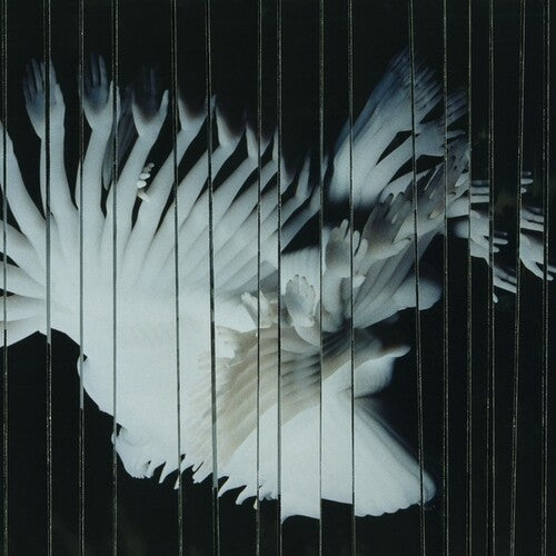 Scaler- Endlessly ( LP )