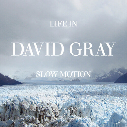 David Gray- Life in Slow Motion (20th Anniversary Edition) ( LP )
