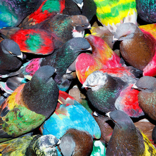 Blawan: Sickelixir { Record }