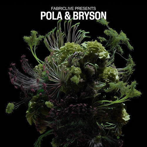Pola & Bryson: FABRICLIVE presents Pola & Bryson { Record }