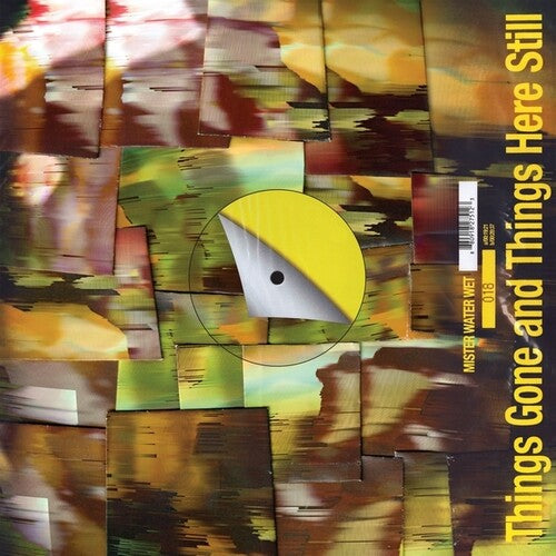 Mister Water Wet- Things Gone and Things Here Still ( LP )