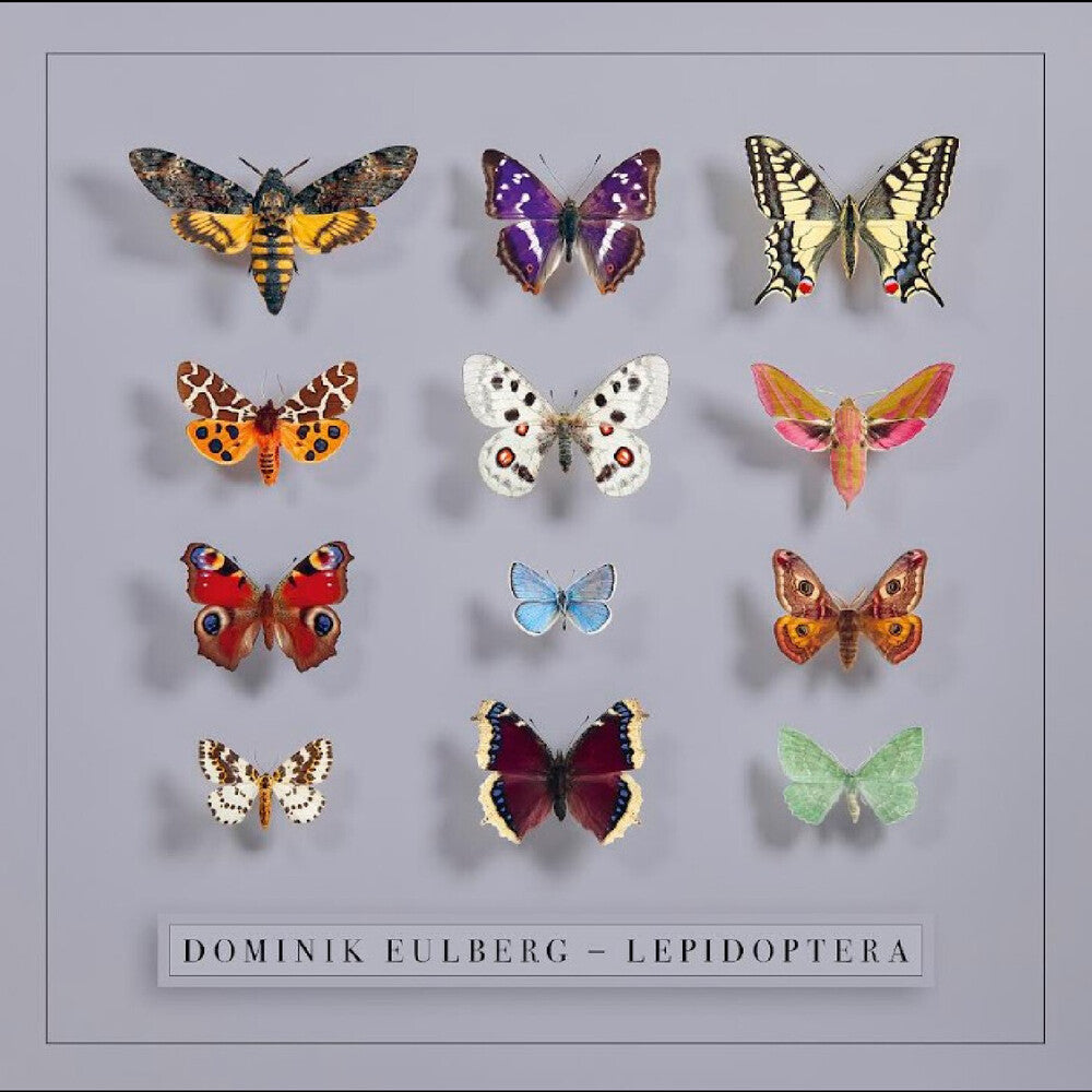 Dominik Eulberg- Lepidoptera (Uk) ( LP )