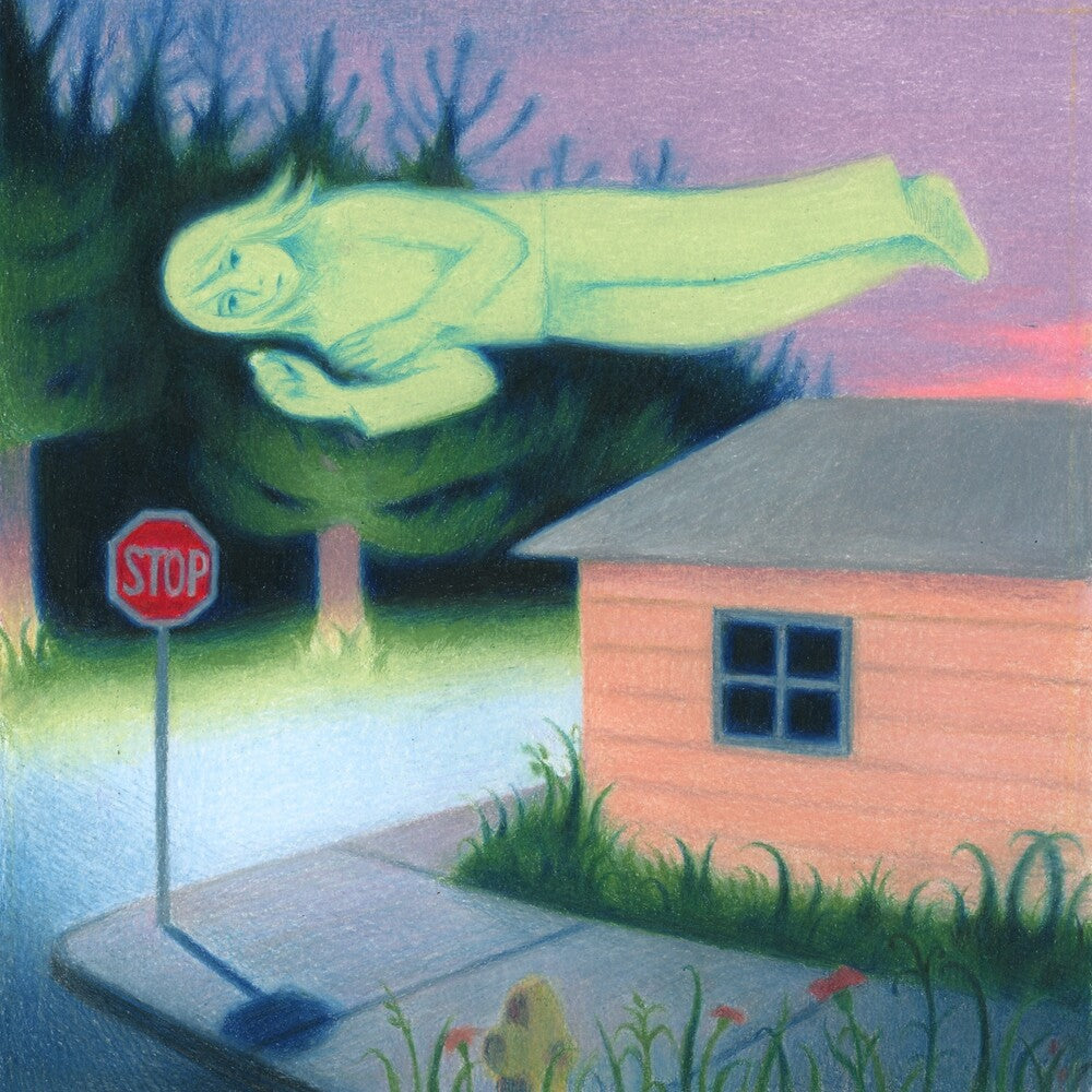 Fanclubwallet- Living While Dying ( LP )