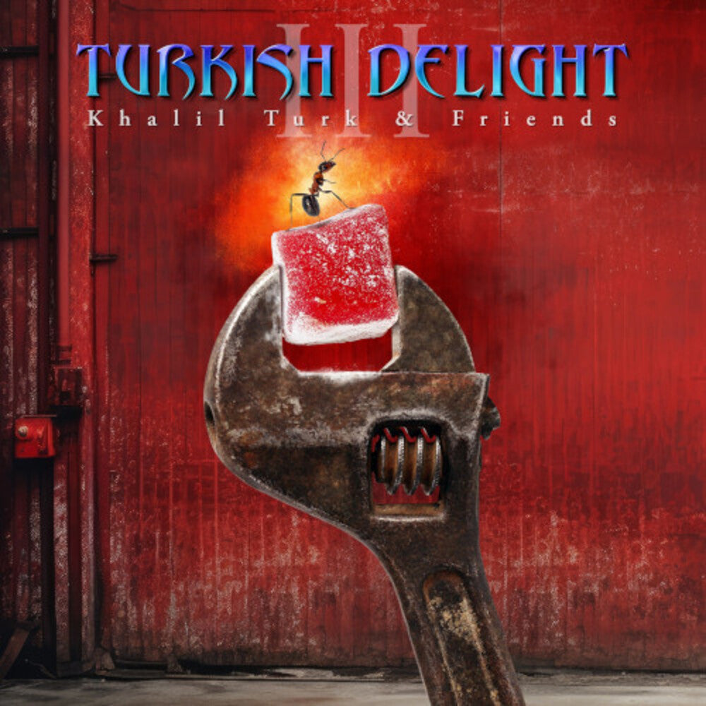 Turkish Delight Volume Three / Various- Turkish Delight Volume Three / Various ( LP )